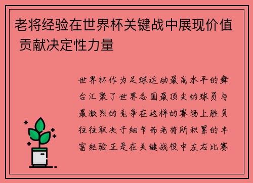 老将经验在世界杯关键战中展现价值 贡献决定性力量 老将经验在世界杯关键战中展现价值 贡献决定性力量