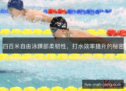 四百米自由泳踝部柔韧性，打水效率提升的秘密